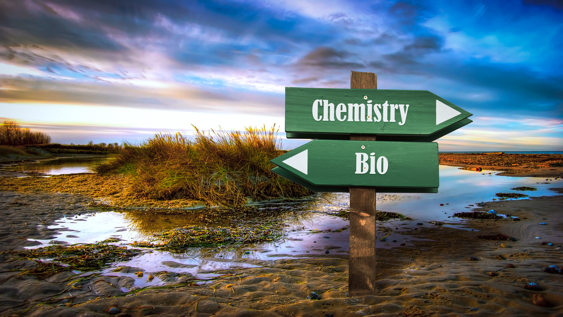 Bio Chemistry Opposite Signposts