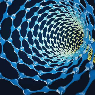 Carbon Nanotube