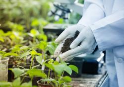 Biopesticides in testing.