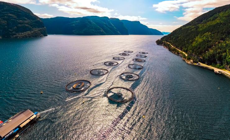 Salmon Farm in Norway
