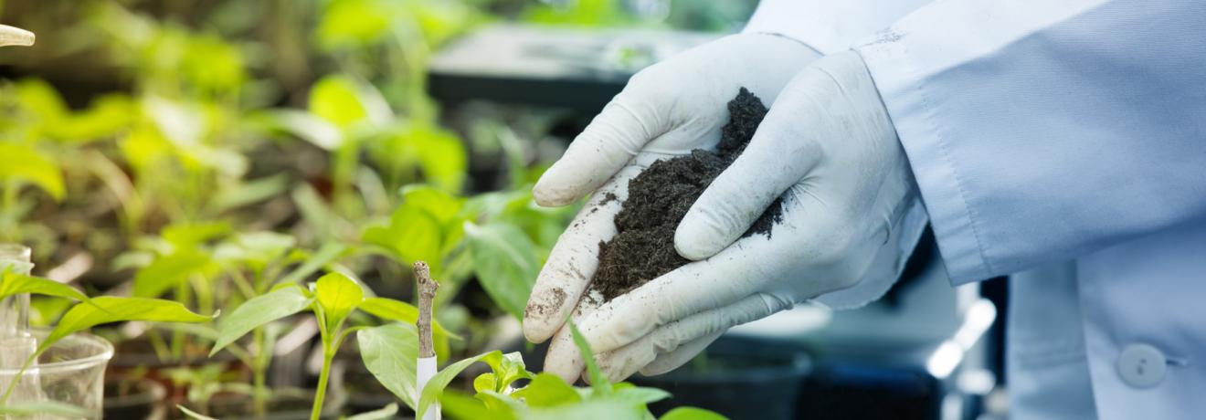 Biopesticides in testing.