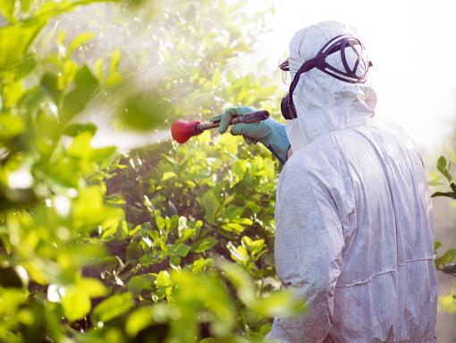 Person spraying generic biopesticide.