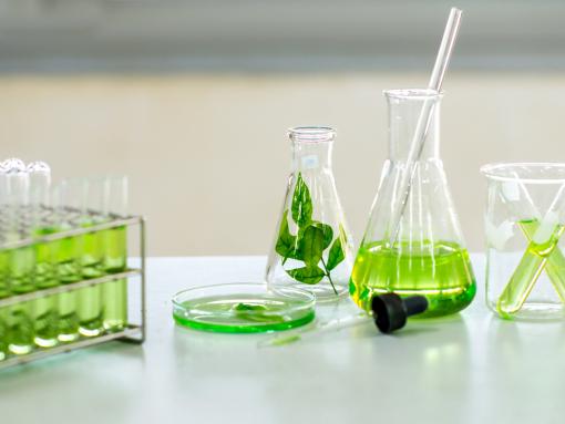 Biocontrol Testing