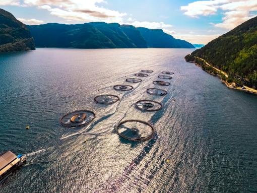 Salmon Farm in Norway