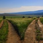 Two paths moving away from each other.