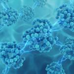Nanoform Sameness & Grouping